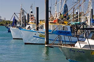 Gladstone harbour, Commercial boat licence courses Gladstone. Includes Coxswain courses