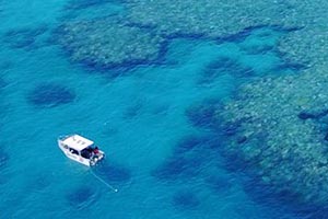 Pro Dive Magnetic Island, Commercial boat licence courses. Includes Coxswain courses